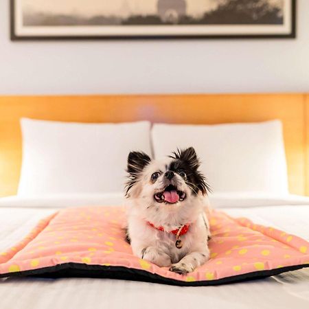 Отель Ibis Chennai Sipcot - An Accor Brand Экстерьер фото