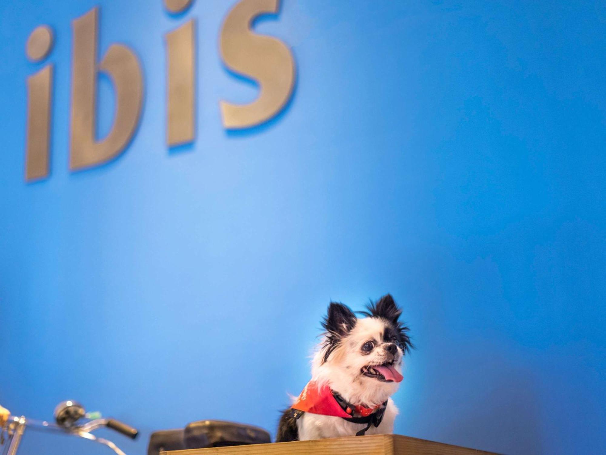 Отель Ibis Chennai Sipcot - An Accor Brand Экстерьер фото